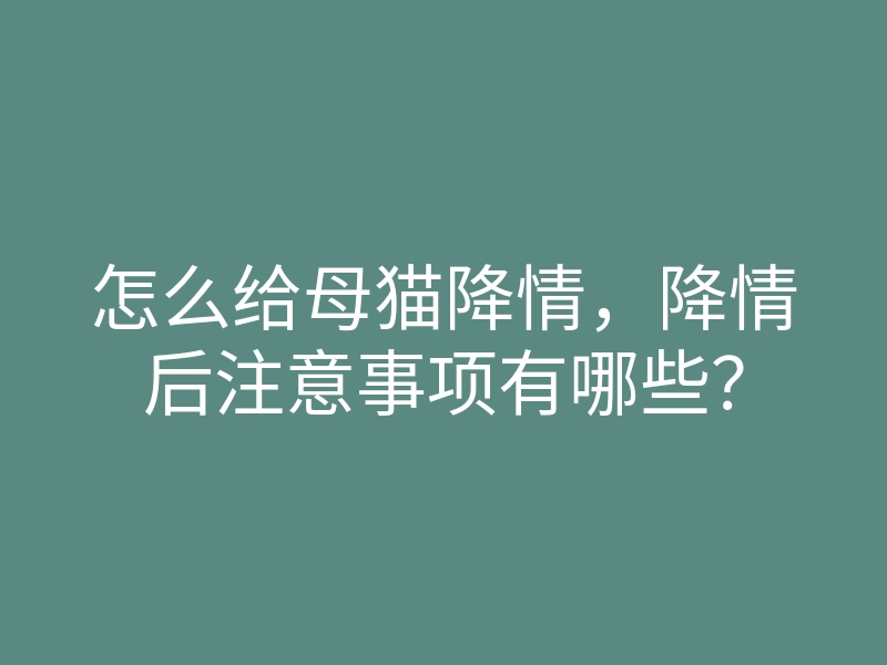 怎么给母猫降情,降情后注意事项有哪些?