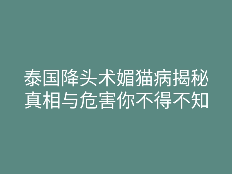 泰国降头术媚猫病揭秘真相与危害你不得不知