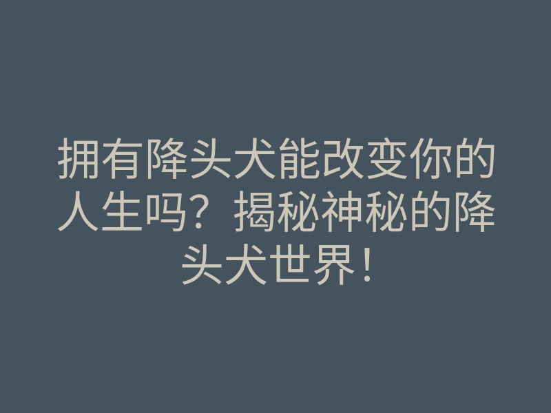 拥有降头犬能改变你的人生吗?揭秘神秘的降头犬世界!