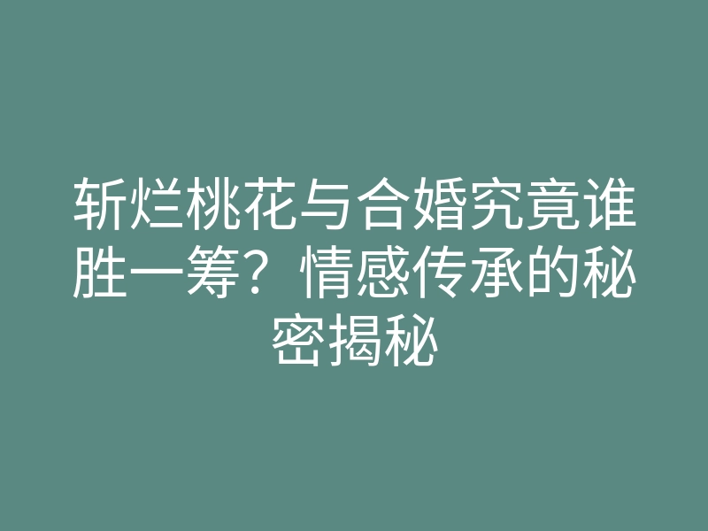 斩烂桃花与合婚究竟谁胜一筹?情感传承的秘密揭秘