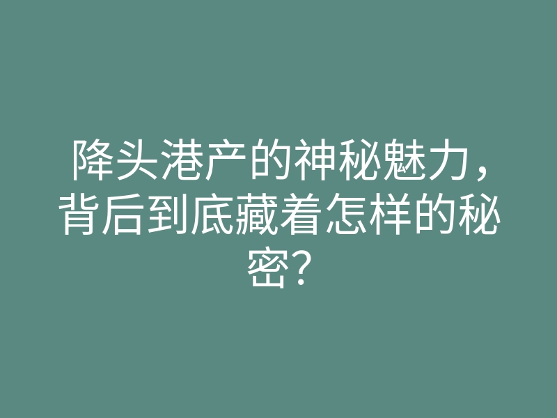 降头港产的神秘魅力,背后到底藏着怎样的秘密?