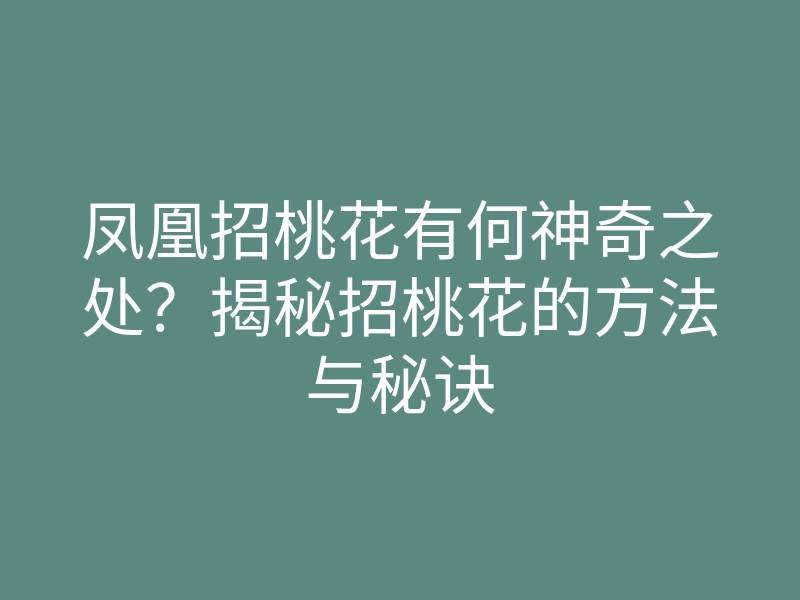 凤凰招桃花有何神奇之处?揭秘招桃花的方法与秘诀