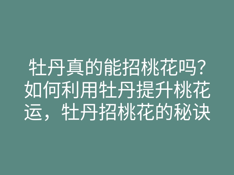 牡丹真的能招桃花吗?如何利用牡丹提升桃花运,牡丹招桃花的秘诀分享