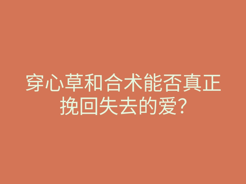 穿心草和合术能否真正挽回失去的爱?