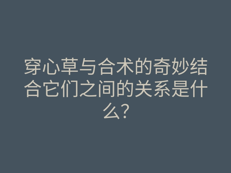 穿心草与合术的奇妙结合它们之间的关系是什么?