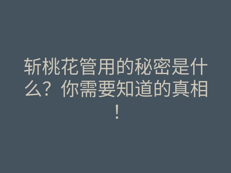 斩桃花管用的秘密是什么？你需要知道的真相！