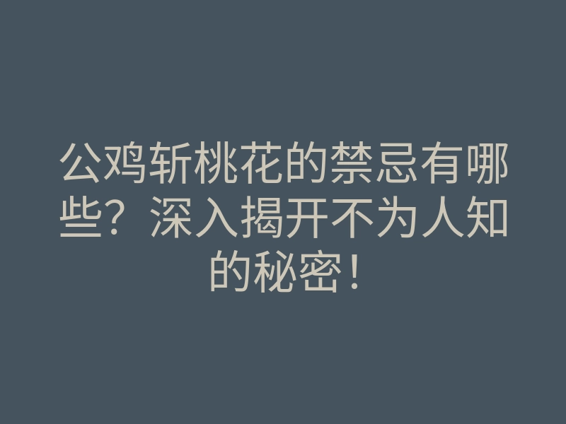 公鸡斩桃花的禁忌有哪些?深入揭开不为人知的秘密!
