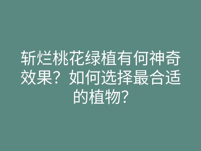 斩烂桃花绿植有何神奇效果?如何选择最合适的植物?