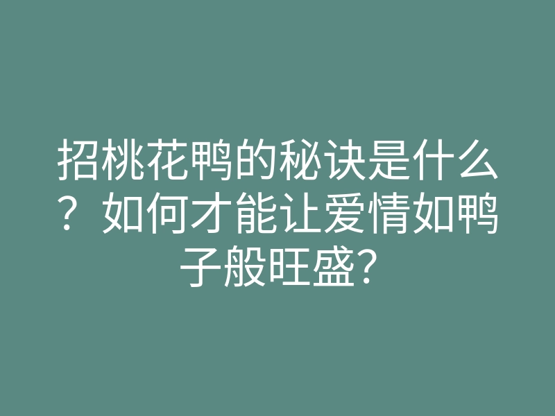 招桃花鸭的秘诀是什么?如何才能让爱情如鸭子般旺盛?
