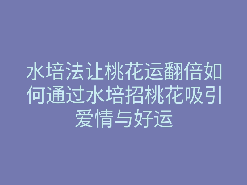 水培法让桃花运翻倍如何通过水培招桃花吸引爱情与好运