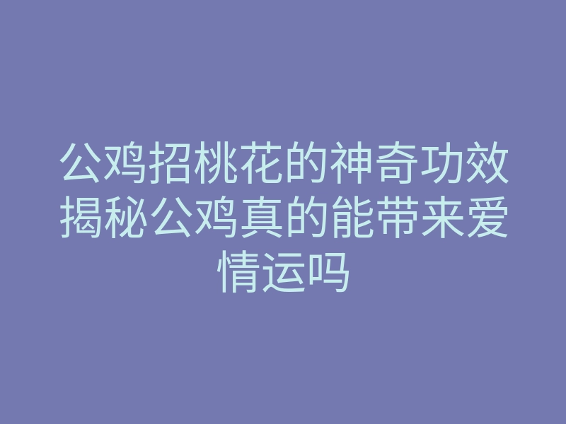 公鸡招桃花的神奇功效揭秘公鸡真的能带来爱情运吗