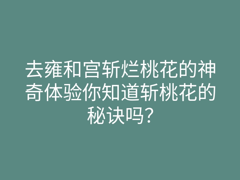 去雍和宫斩烂桃花的神奇体验你知道斩桃花的秘诀吗?