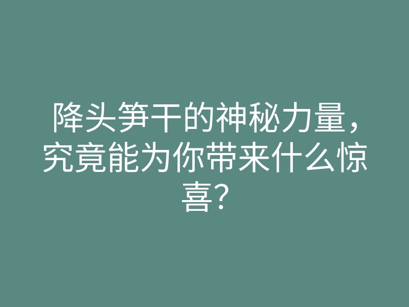 降头笋干的神秘力量,究竟能为你带来什么惊喜?