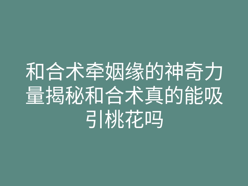 和合术牵姻缘的神奇力量揭秘和合术真的能吸引桃花吗