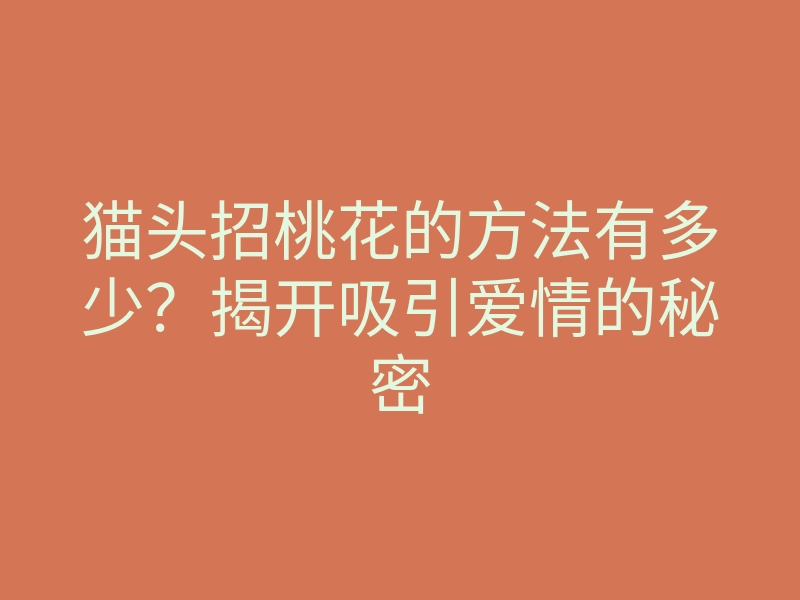 猫头招桃花的方法有多少?揭开吸引爱情的秘密