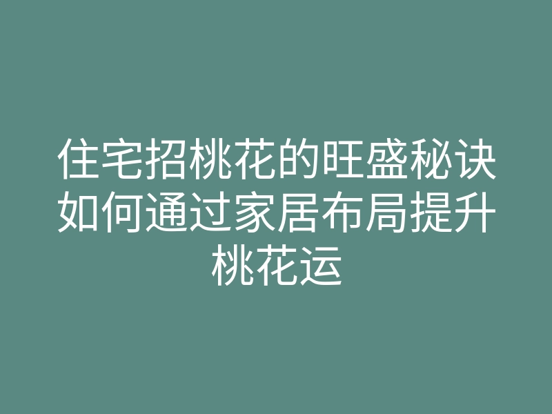 住宅招桃花的旺盛秘诀如何通过家居布局提升桃花运