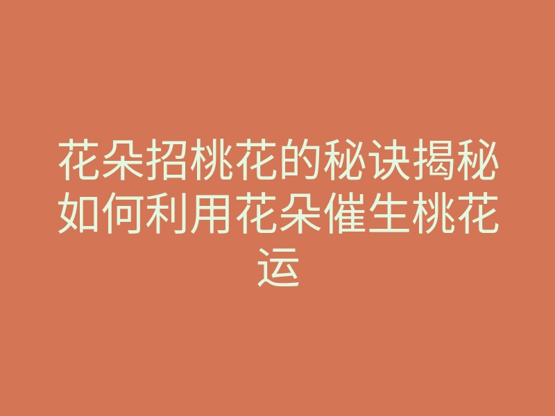 花朵招桃花的秘诀揭秘如何利用花朵催生桃花运