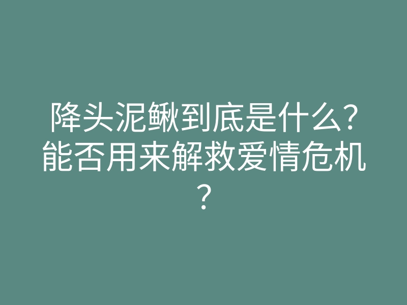 降头泥鳅到底是什么?能否用来解救爱情危机?