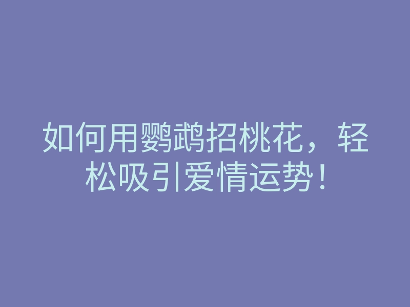 如何用鹦鹉招桃花，轻松吸引爱情运势！