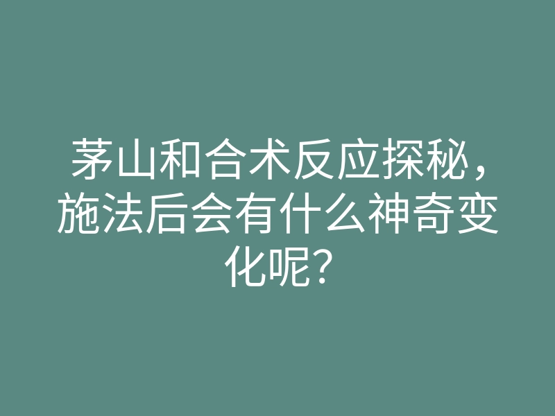茅山和合术反应探秘,施法后会有什么神奇变化呢?