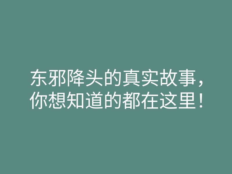 东邪降头的真实故事,你想知道的都在这里!