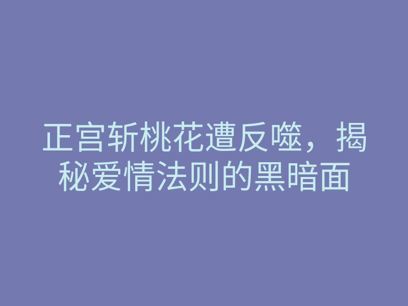 正宫斩桃花遭反噬，揭秘爱情法则的黑暗面