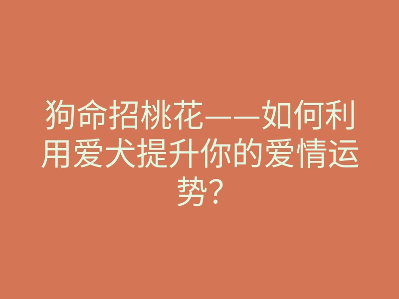 狗命招桃花——如何利用爱犬提升你的爱情运势?