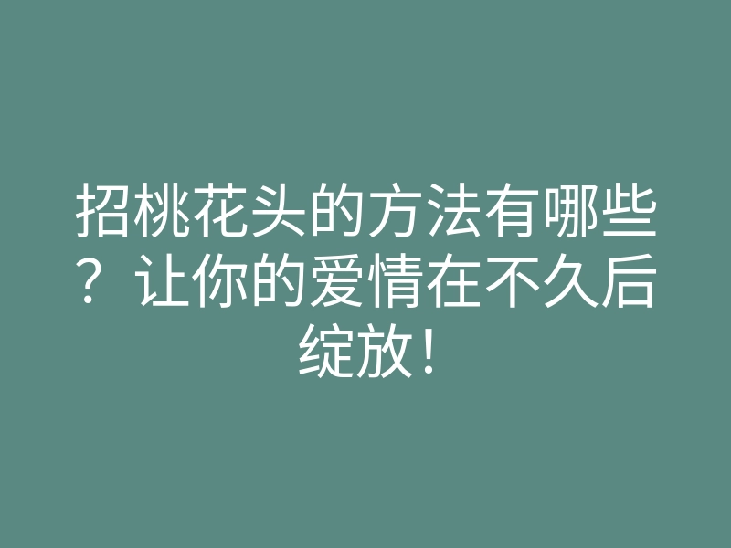 招桃花头的方法有哪些?让你的爱情在不久后绽放!