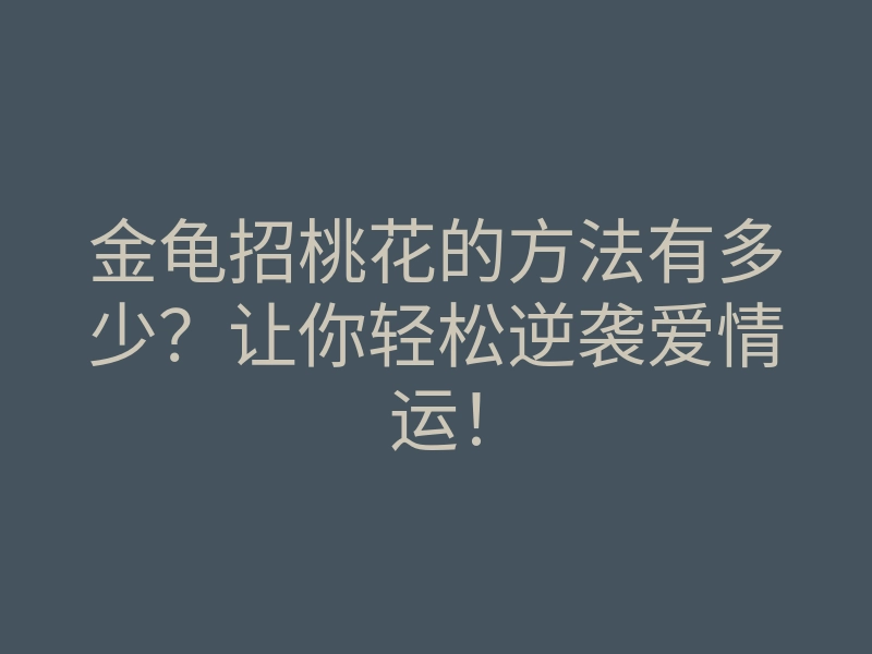 金龟招桃花的方法有多少?让你轻松逆袭爱情运!
