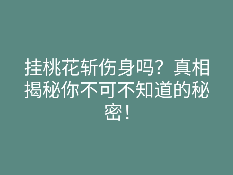 挂桃花斩伤身吗?真相揭秘你不可不知道的秘密!