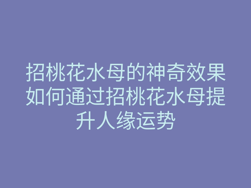 招桃花水母的神奇效果如何通过招桃花水母提升人缘运势