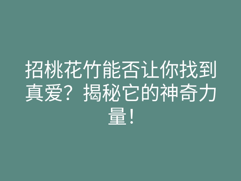 招桃花竹能否让你找到真爱?揭秘它的神奇力量!