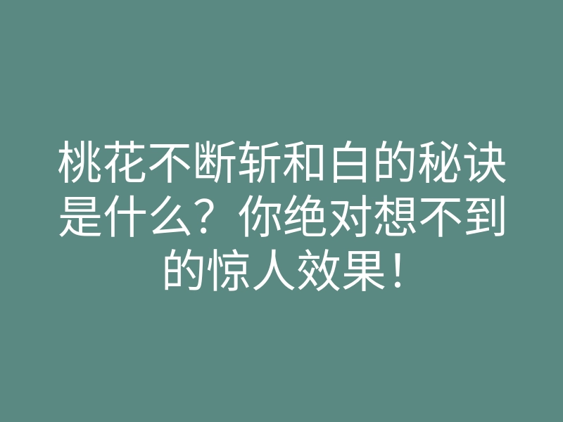 桃花不断斩和白的秘诀是什么?你绝对想不到的惊人效果!