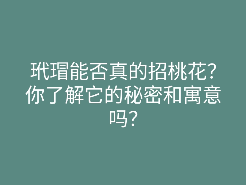 玳瑁能否真的招桃花?你了解它的秘密和寓意吗?