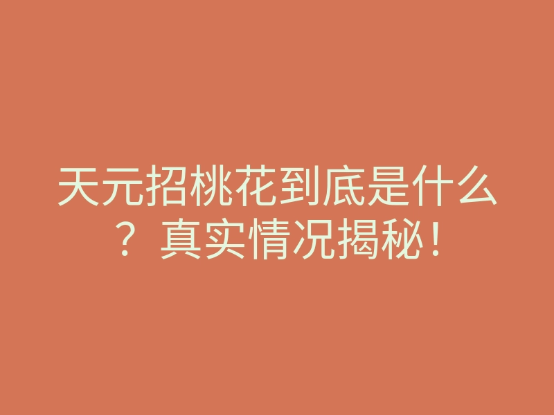 天元招桃花到底是什么?真实情况揭秘!