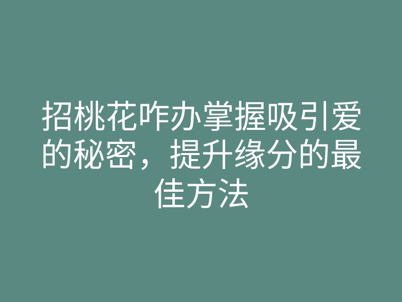 招桃花咋办掌握吸引爱的秘密,提升缘分的最佳方法