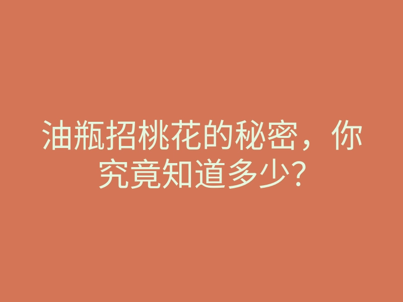 油瓶招桃花的秘密,你究竟知道多少?