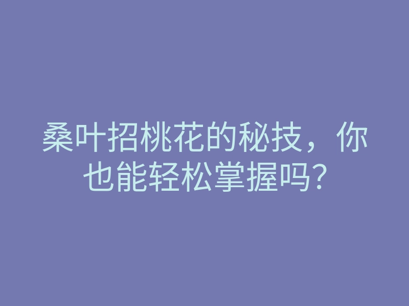 桑叶招桃花的秘技,你也能轻松掌握吗?