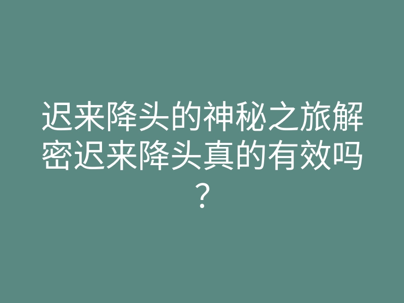 迟来降头的神秘之旅解密迟来降头真的有效吗?