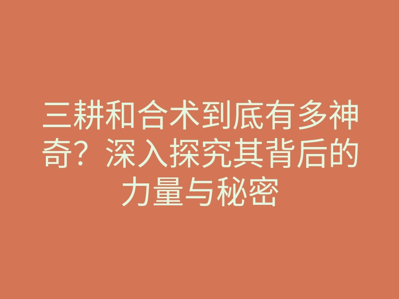 三耕和合术到底有多神奇？深入探究其背后的力量与秘密