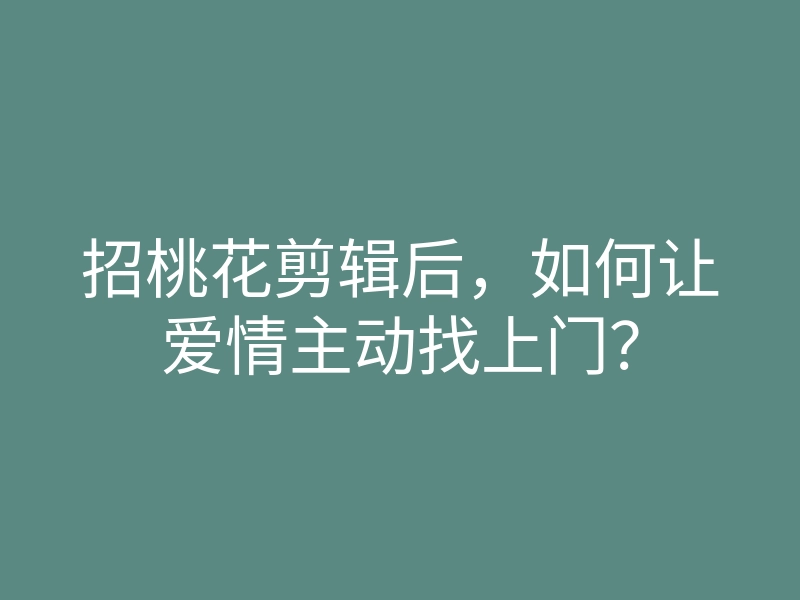 招桃花剪辑后,如何让爱情主动找上门?