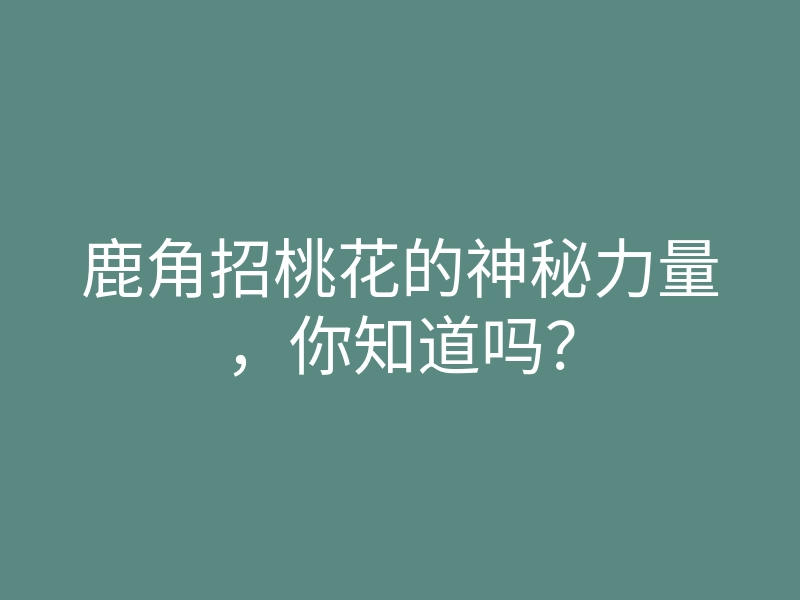 鹿角招桃花的神秘力量,你知道吗?