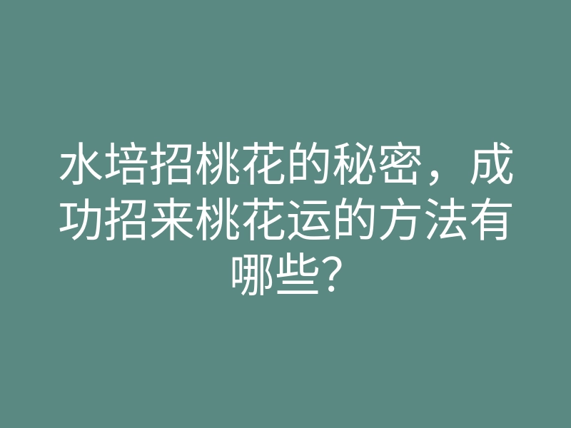 水培招桃花的秘密,成功招来桃花运的方法有哪些?