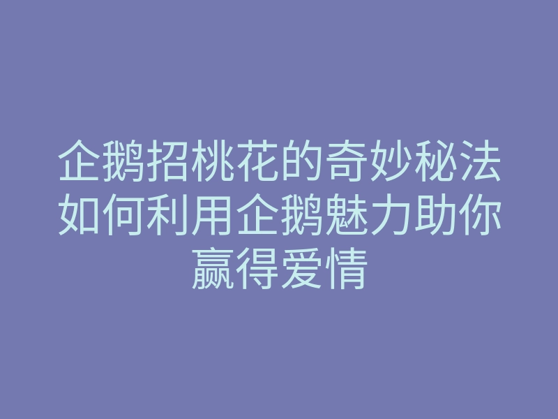 企鹅招桃花的奇妙秘法如何利用企鹅魅力助你赢得爱情