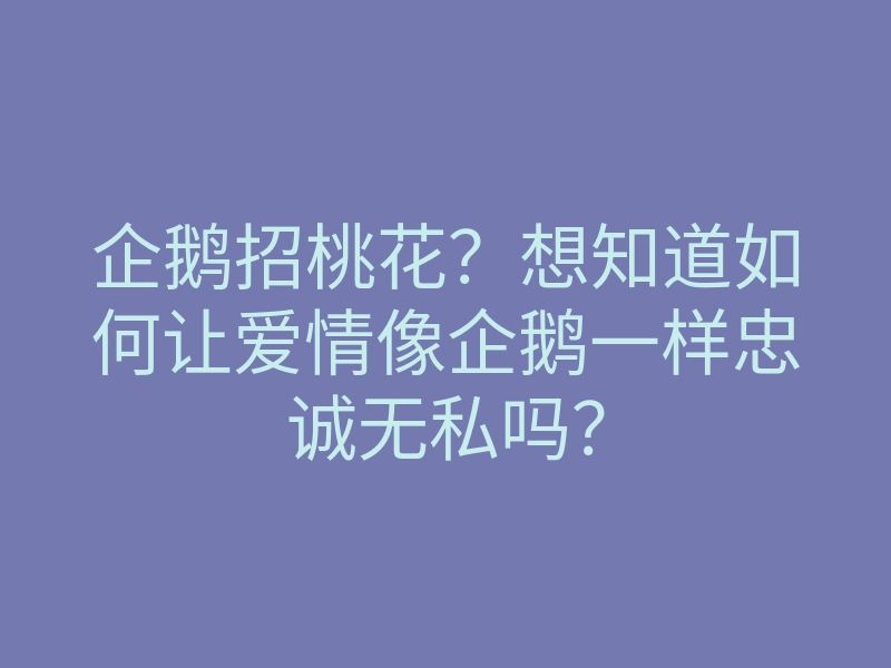 企鹅招桃花?想知道如何让爱情像企鹅一样忠诚无私吗?