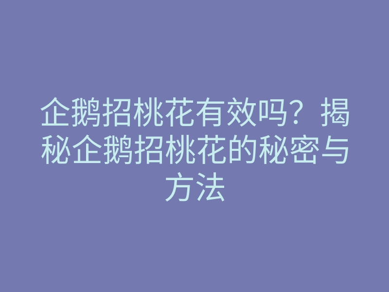 企鹅招桃花有效吗?揭秘企鹅招桃花的秘密与方法