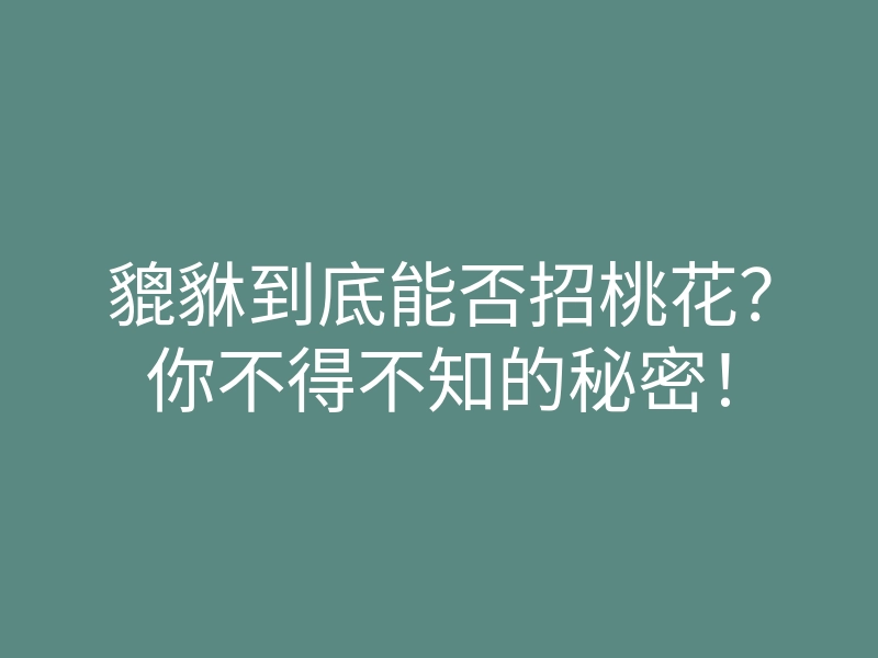 貔貅到底能否招桃花?你不得不知的秘密!