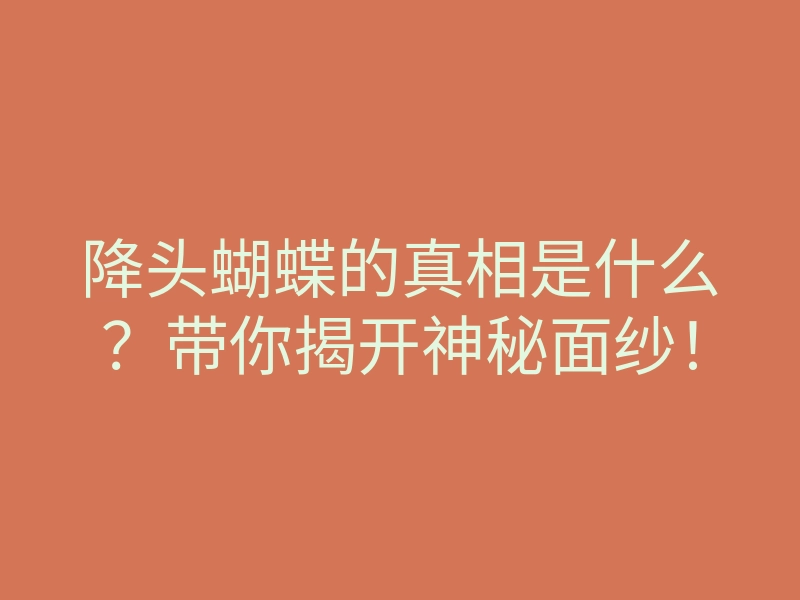 降头蝴蝶的真相是什么?带你揭开神秘面纱!