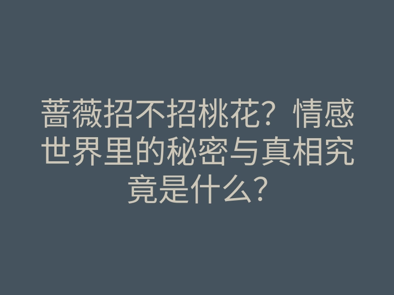 蔷薇招不招桃花?情感世界里的秘密与真相究竟是什么?