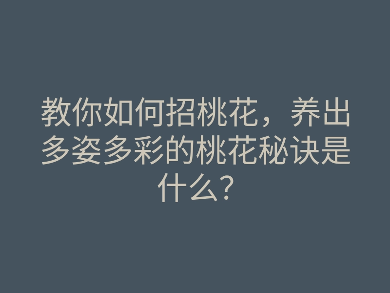 教你如何招桃花，养出多姿多彩的桃花秘诀是什么？